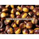 roasted organic sweet ringent chestnuts for export