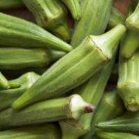 Frozen Vegetable Dried Okra